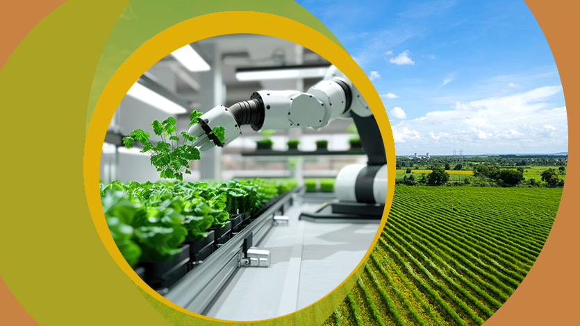 Некоторые аспекты математического моделирования экологических систем (часть 2)