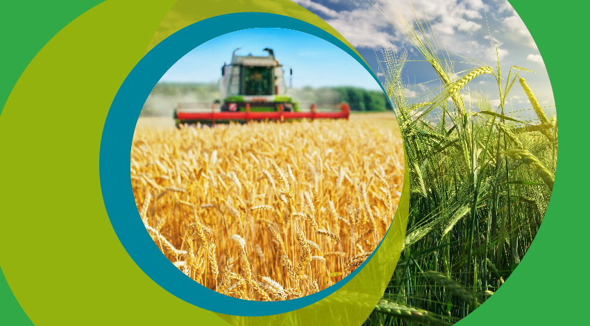 Современные проблемы земледелия: природоподобные технологии - приоритетное направление развития сельскохозяйственной отрасли