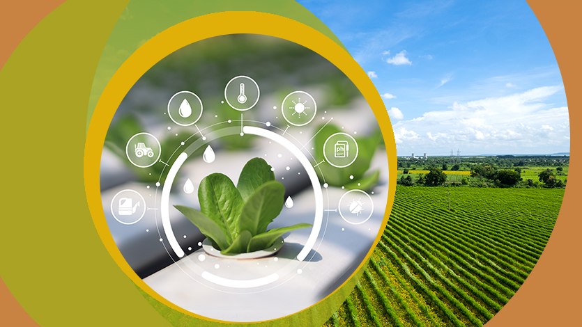 Некоторые аспекты математического моделирования экологических систем (часть 1)