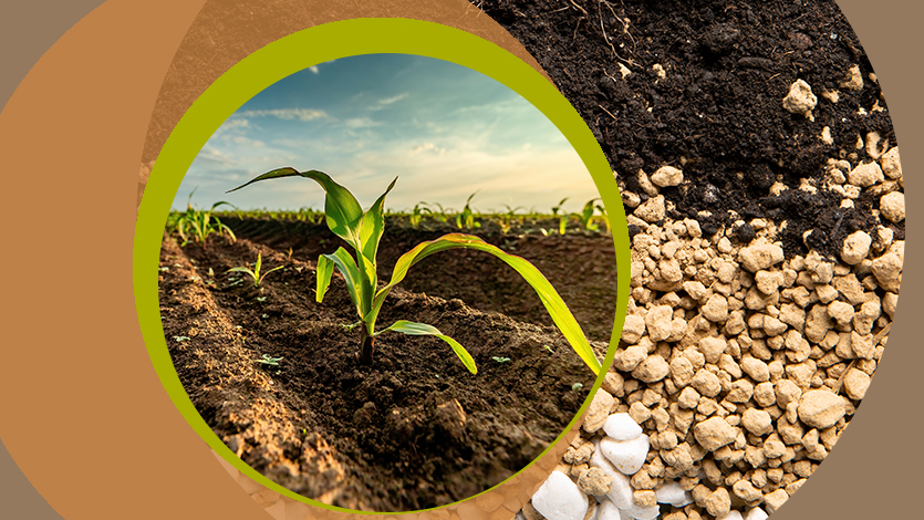 Антагонизм и синергизм элементов питания (часть 1)