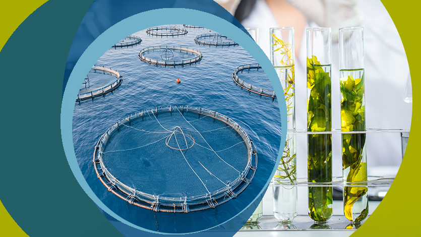 Инновационные биотехнологии в аквакультуре и экологии