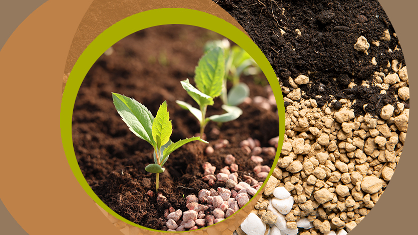 Антагонизм и синергизм элементов питания (часть 2)