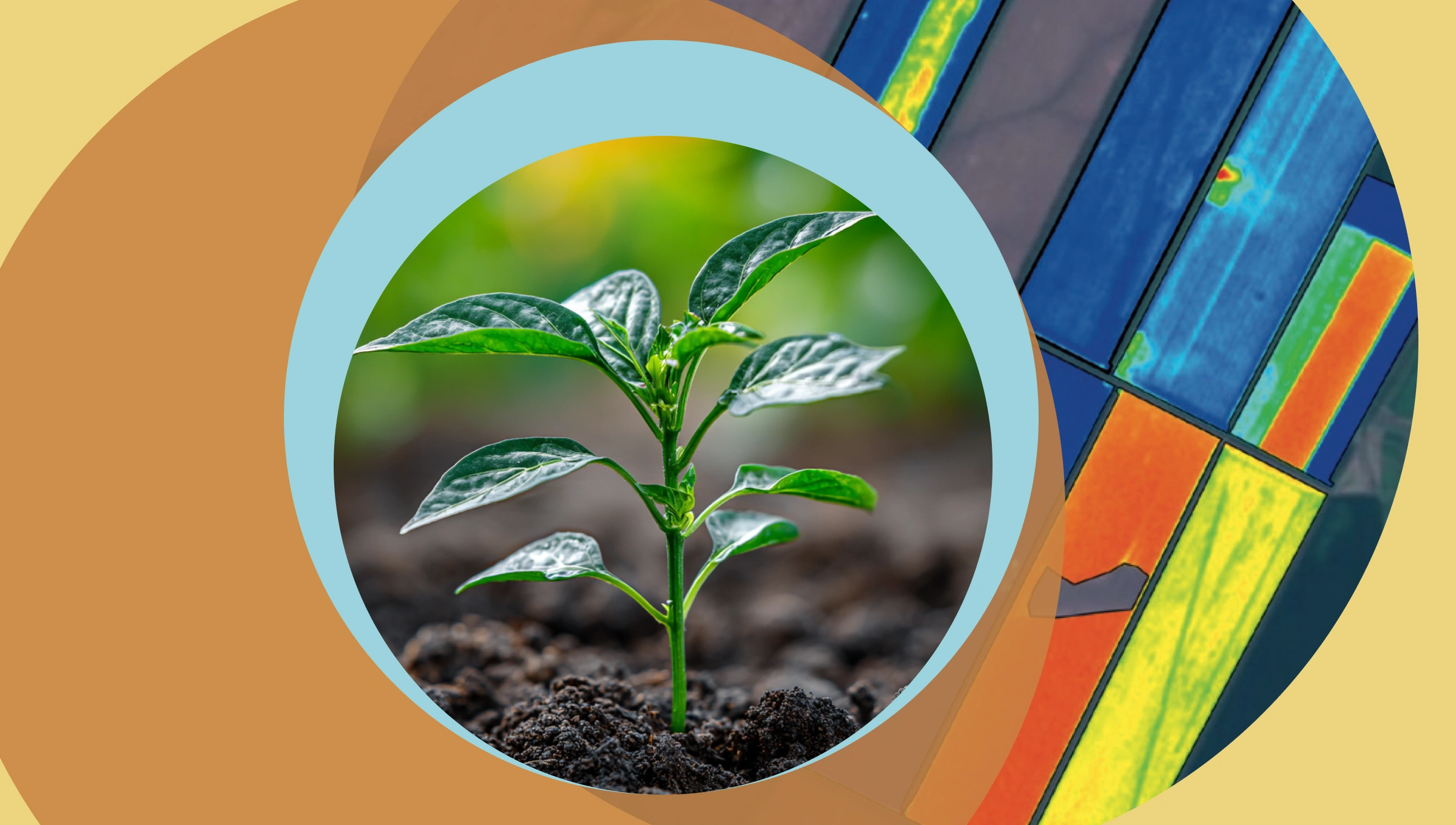 Инженерный блок в Cropwise: функции и возможности