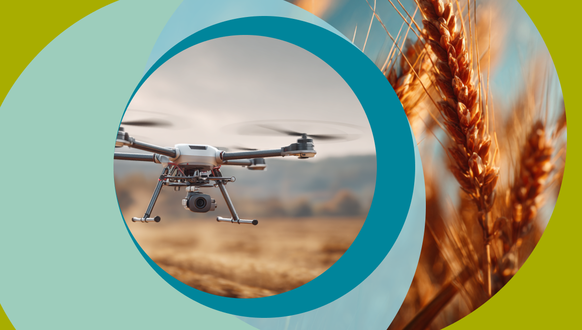 Технологии в цифровом растениеводстве (часть 1)