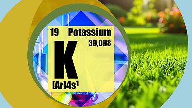 Питание газонных трав калием