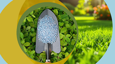 Питание газонных трав другими элементами