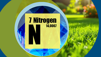 Питание газонных трав азотом
