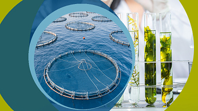 Инновационные биотехнологии в аквакультуре и экологии