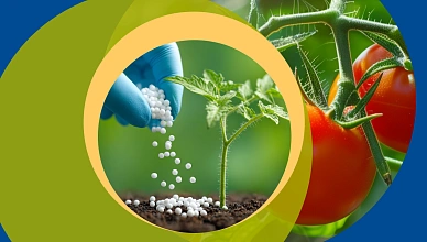 Дифференцированное внесение удобрений и средств защиты растений