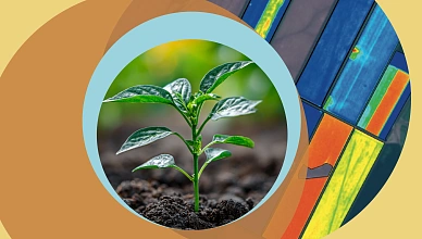 Инженерный блок в Cropwise: функции и возможности